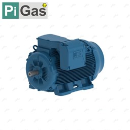 نمایش جزئیات برای الکتروموتور  55 کیلووات WEG تصویر الکتروموتور  55 کیلووات WEG